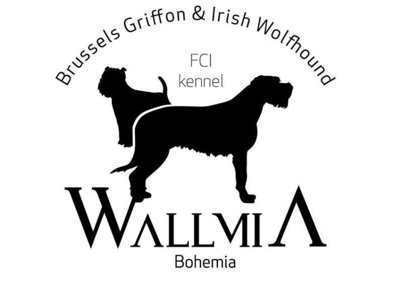 Originální logo chs Wallmia Bohemia